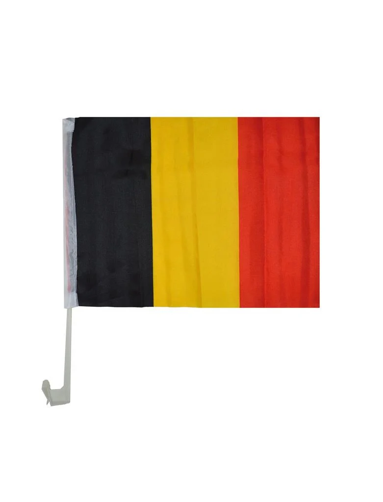 Miniatuur 1
