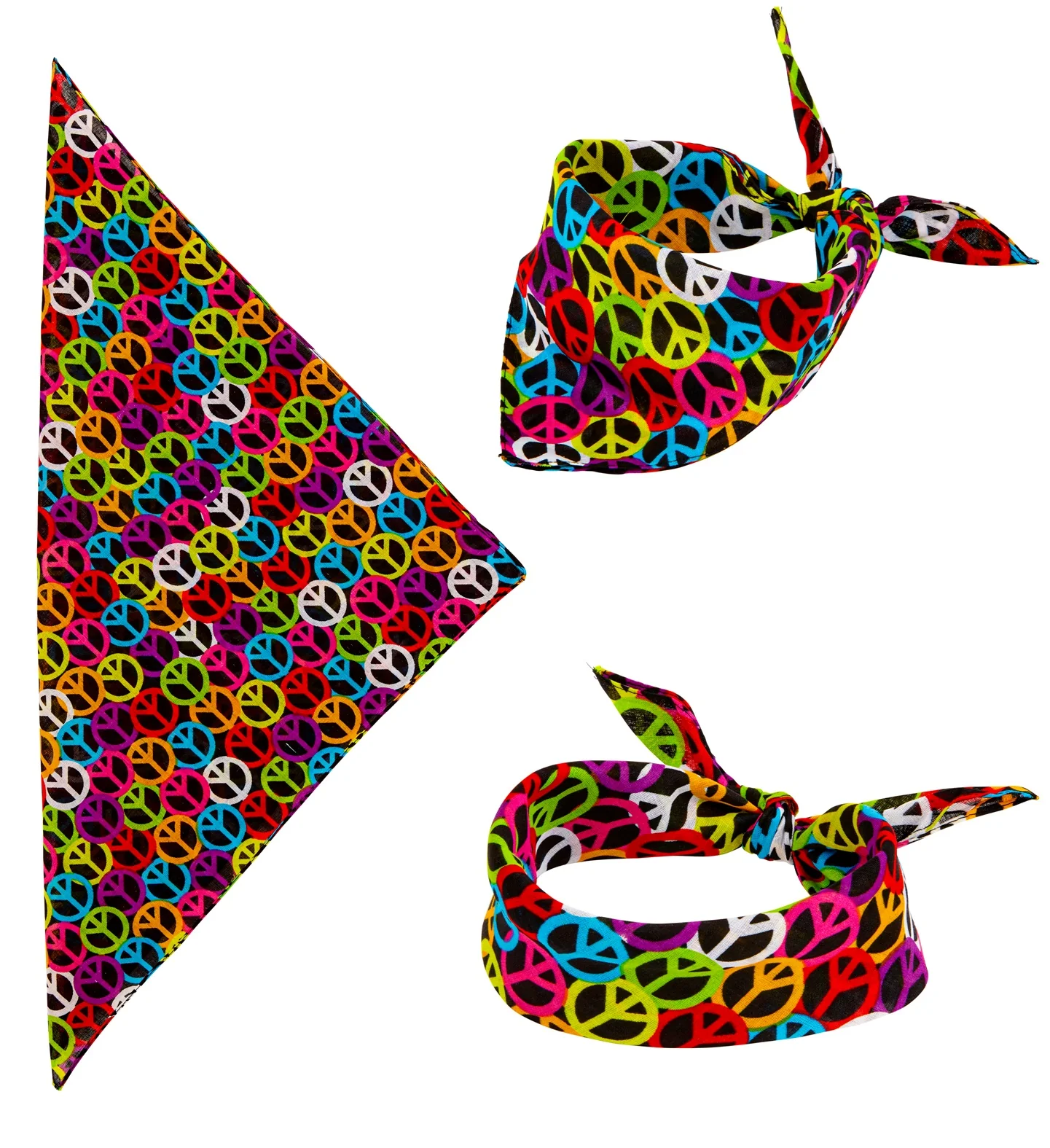 Miniatuur 1