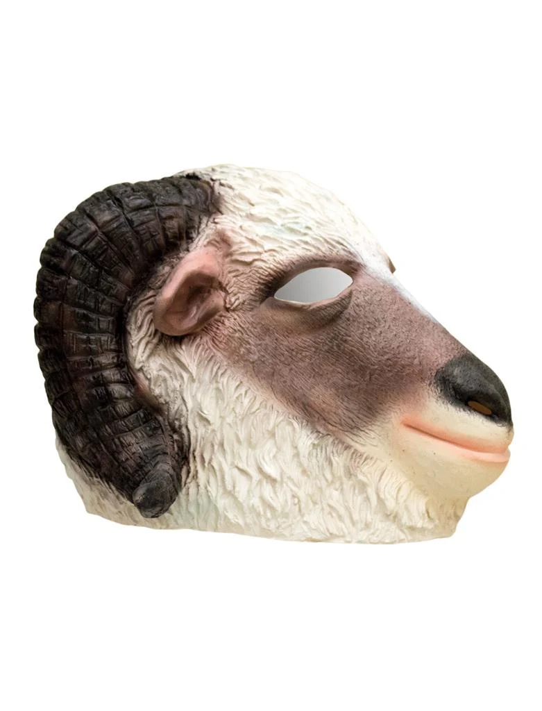 Miniatuur 1